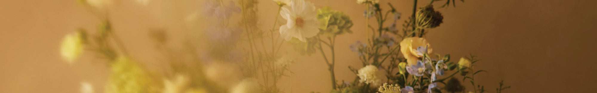 Spring floral texture