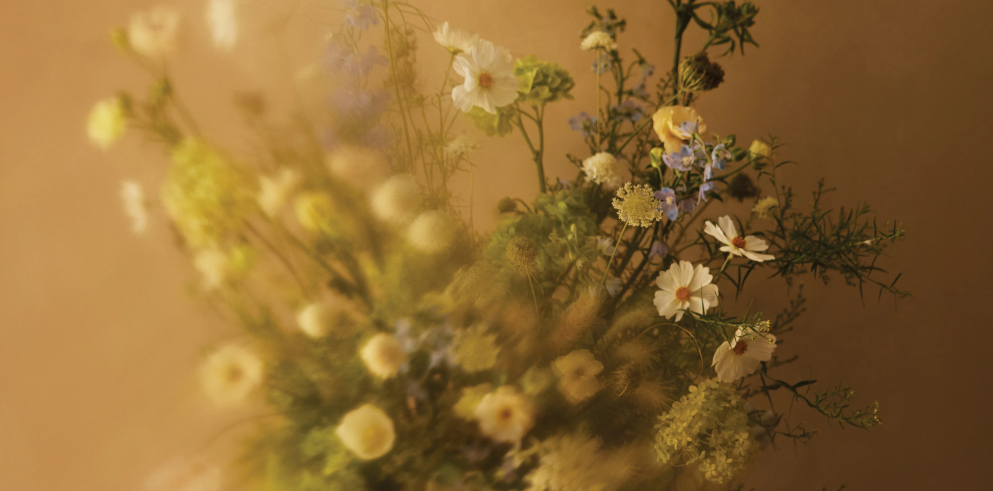 Spring floral texture