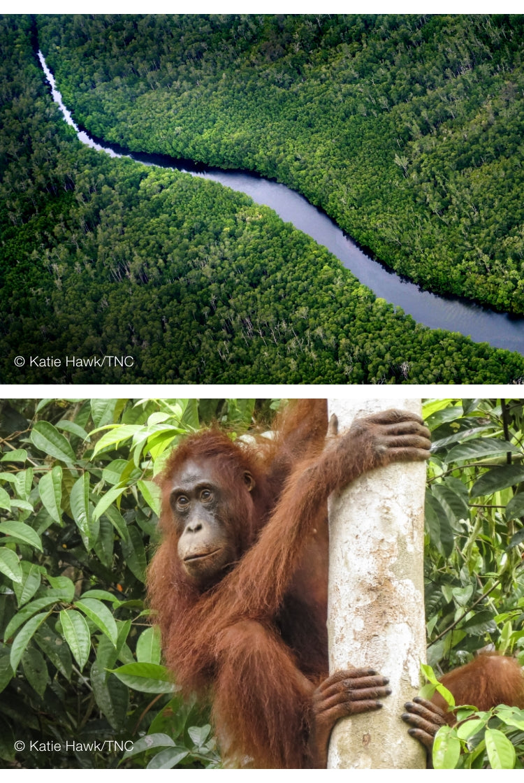 For Today & Tomorrow Reflecting on 2023 Arhaus