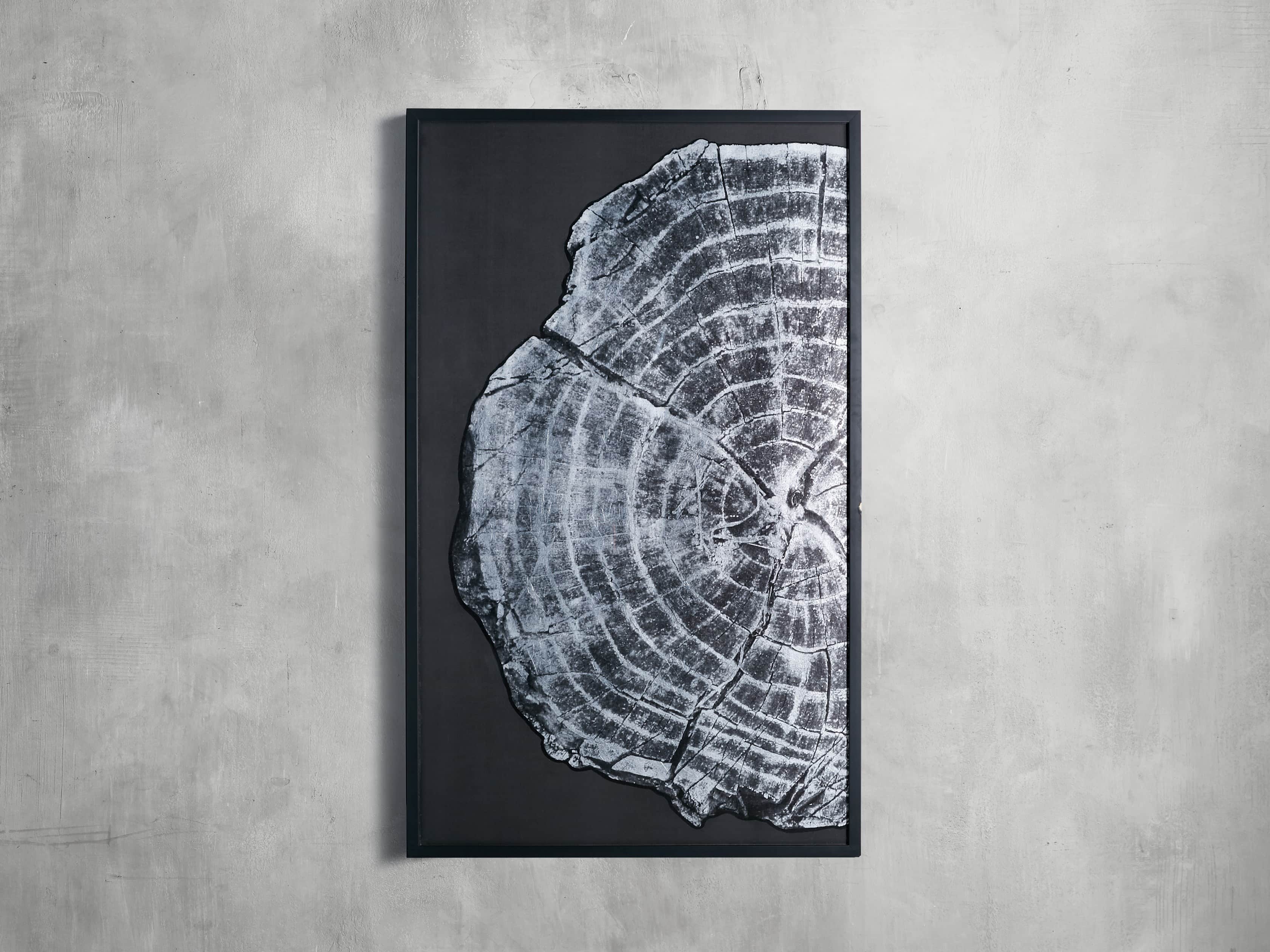 Tree Ring I Framed Print - Stunning Black & White Art