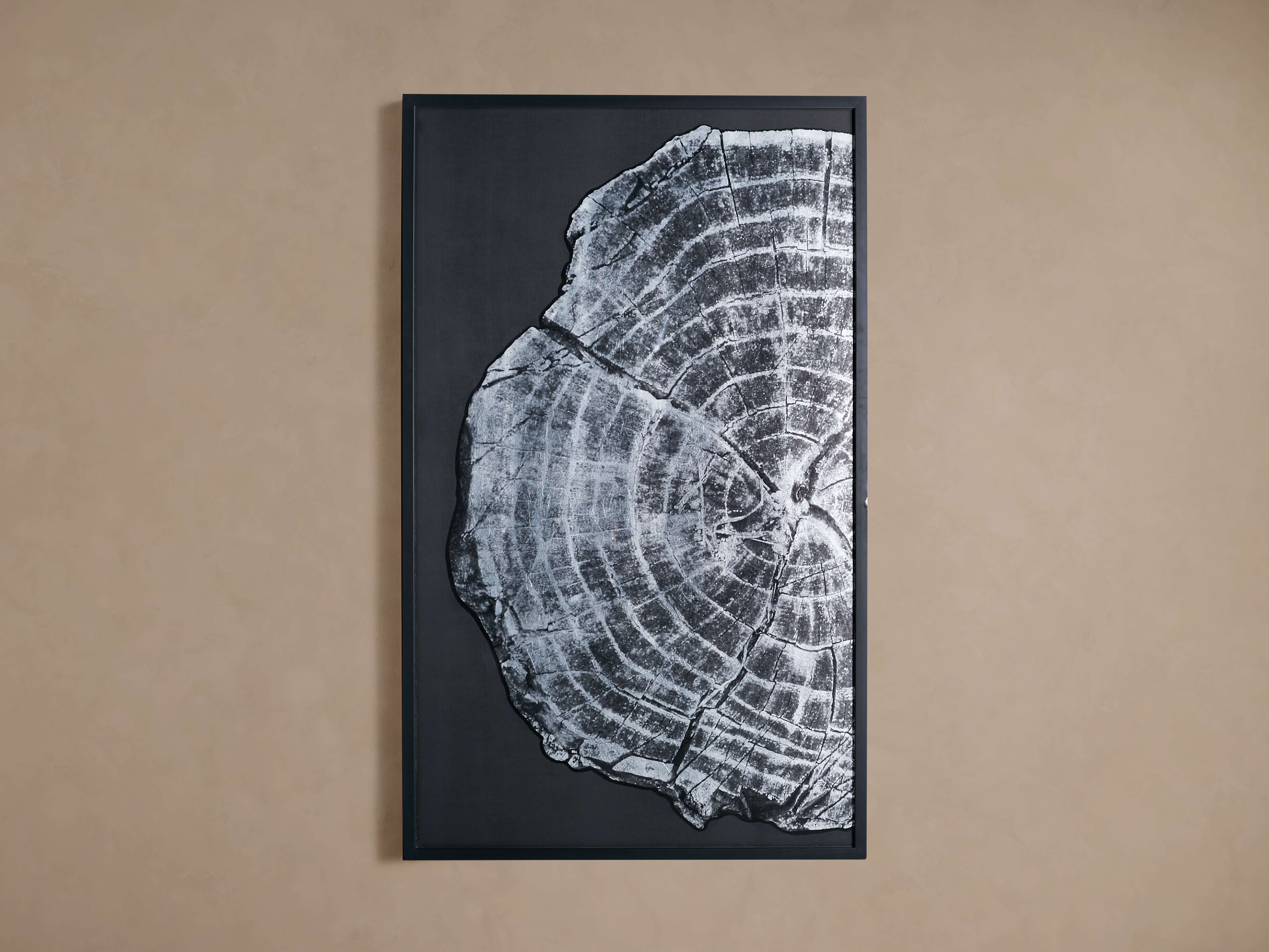 Tree Ring I Framed Print - Stunning Black & White Art