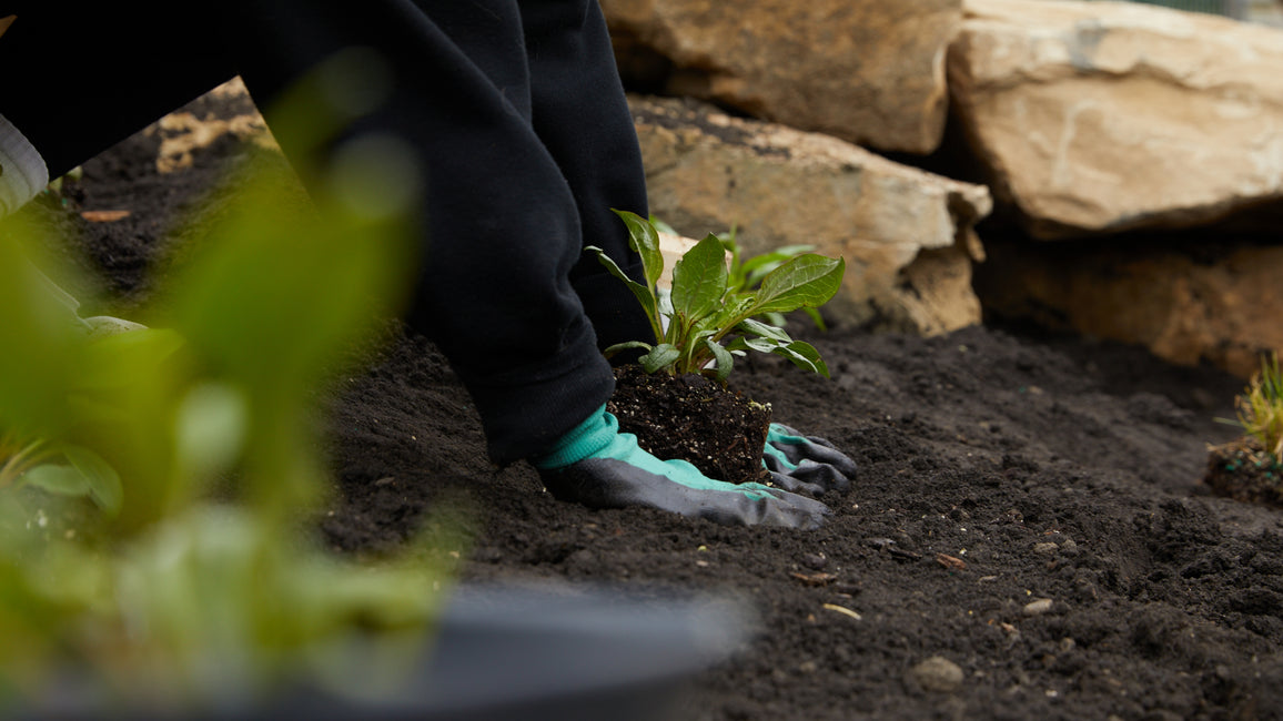 Arhaus Careers Arhaus