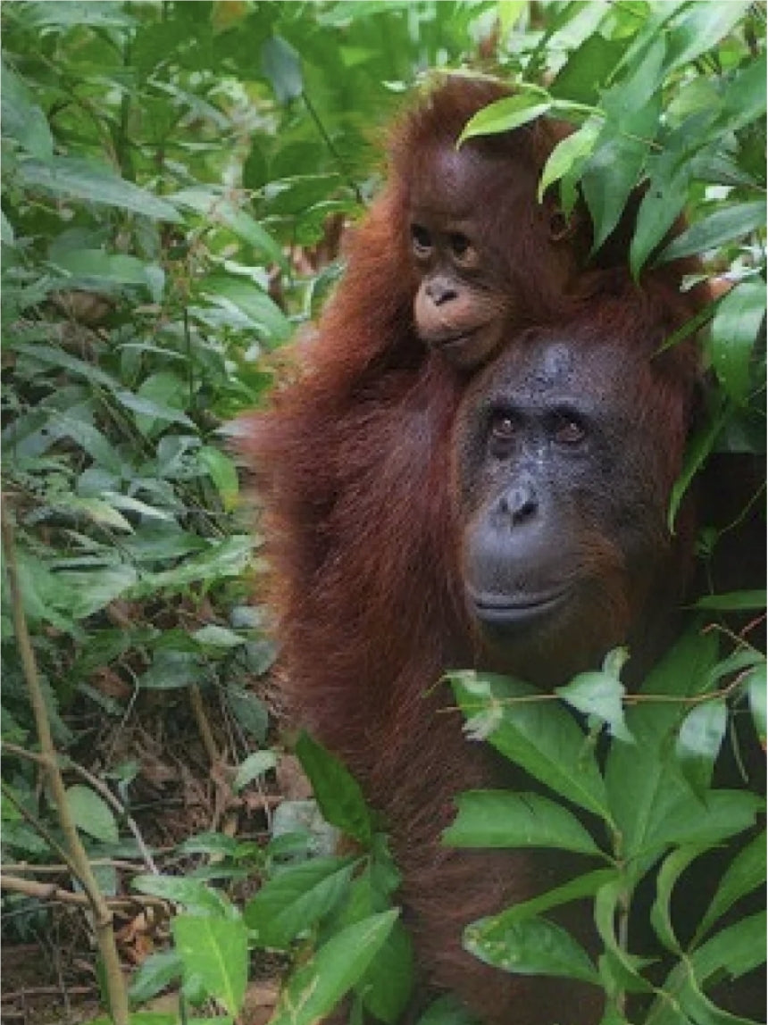 Arhaus Careers Arhaus